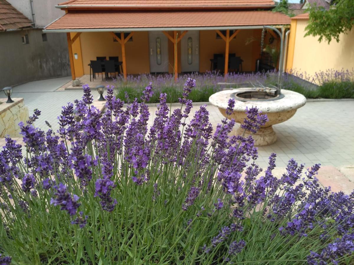 Paradise Apartmanhaz Apartment Eger